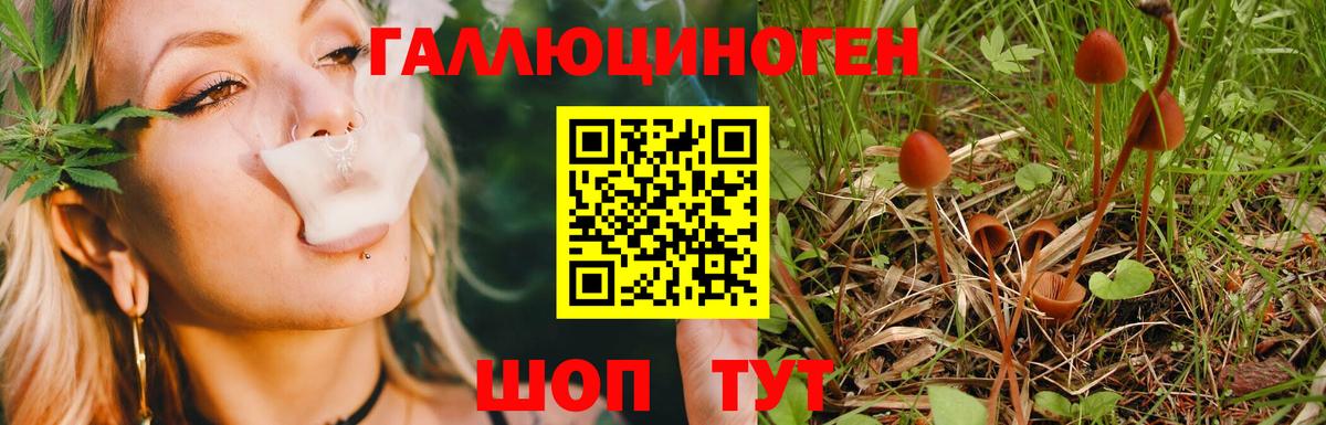 наркота  Псилоцибиновые грибы Cubensis  Вход с VPN  Щёлково 